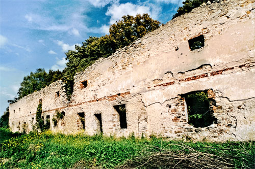 Frontowe zdjęcie zamku Maleszowa