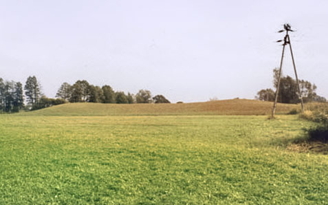 Frontowe zdjęcie zamku Zgórsko-Podborze