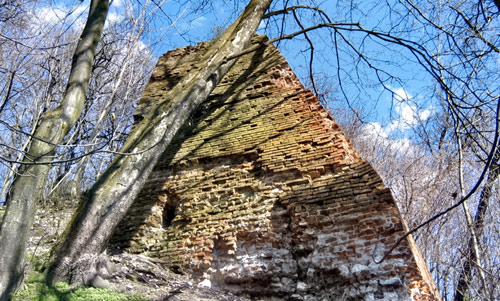 Frontowe zdjęcie zamku Orłów Murowany