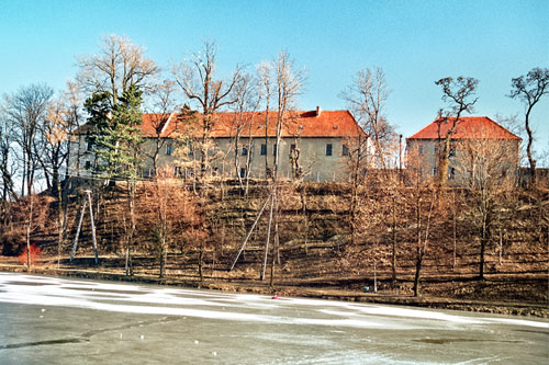 Frontowe zdjęcie zamku Niemcza