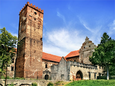 Frontowe zdjęcie zamku Prochowice
