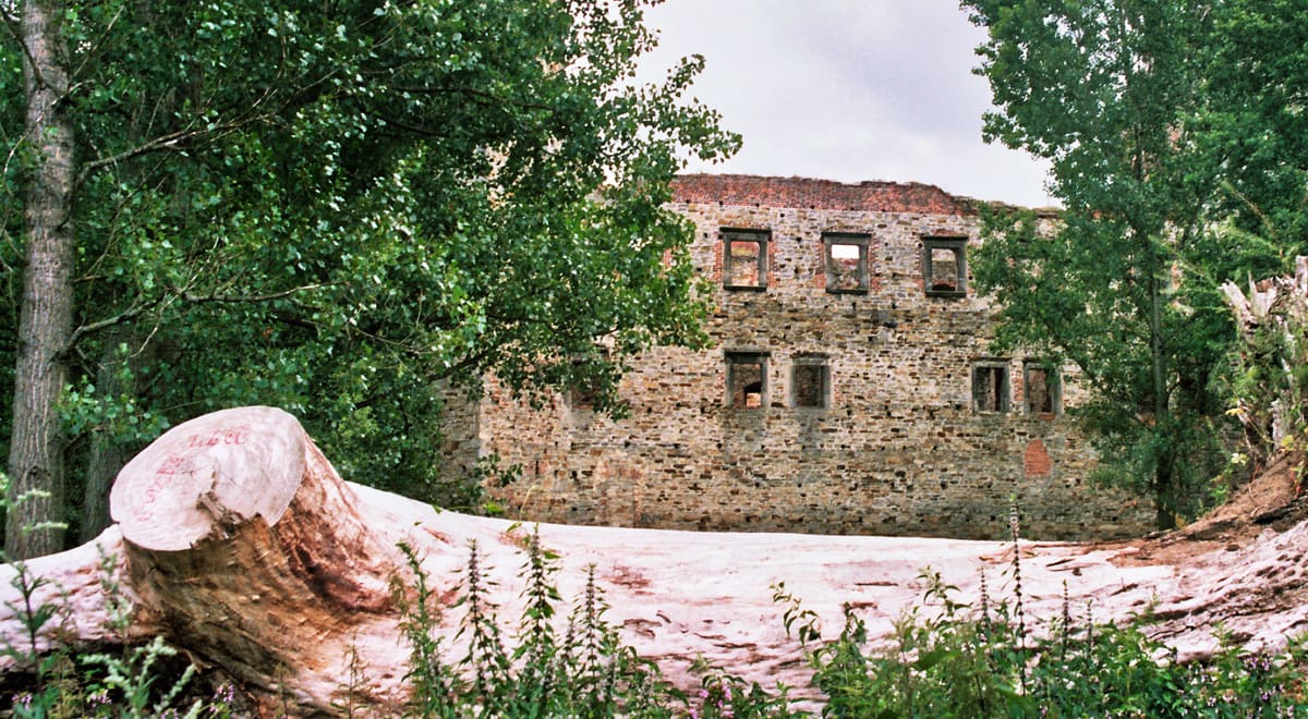 Zamek Drzewica
